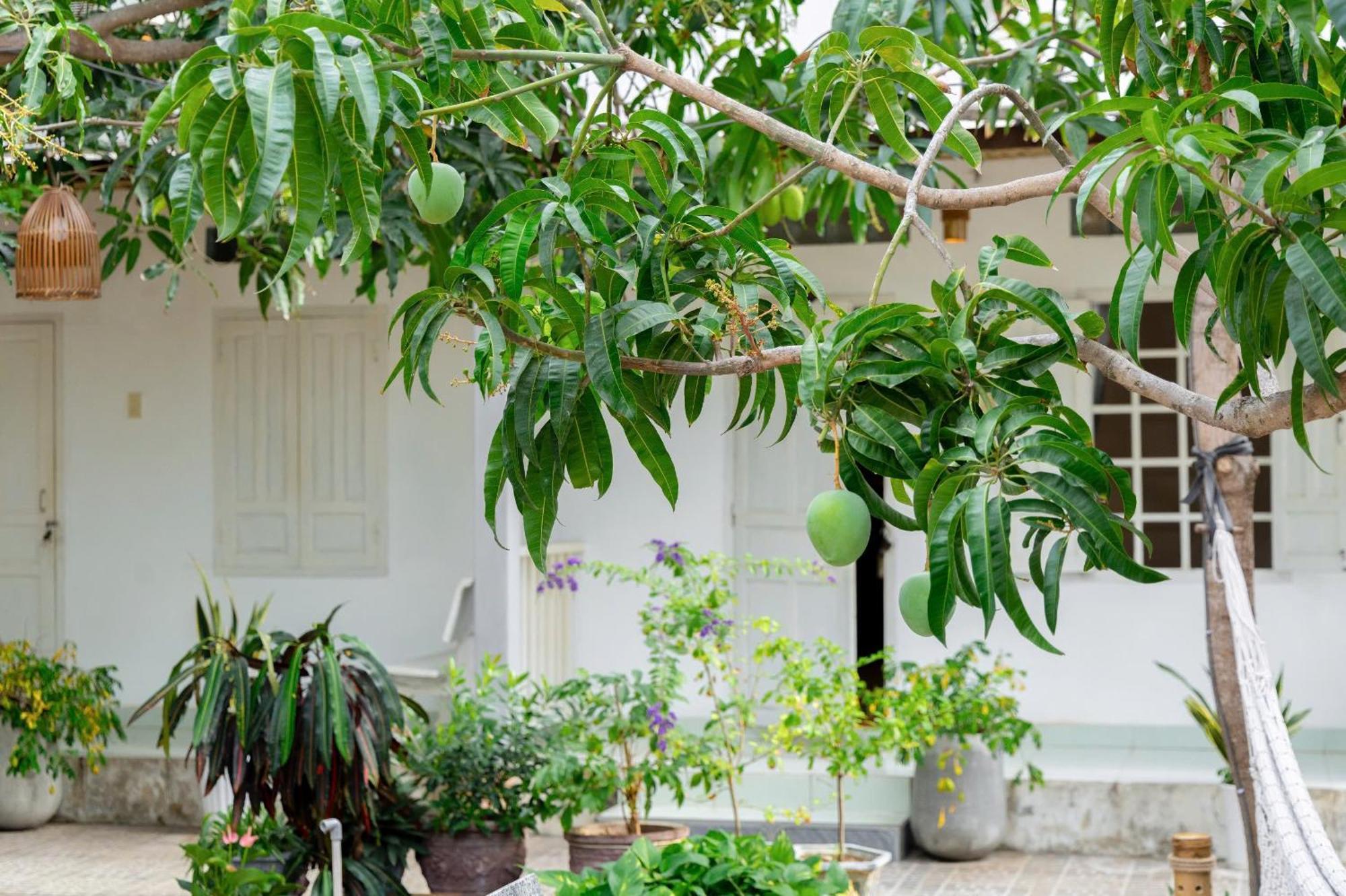 Binhyen Homestay Mui Ne Exterior foto